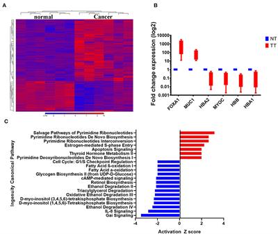 Frontiers | Integrated Transcriptome And Pathway Analyses Revealed ...